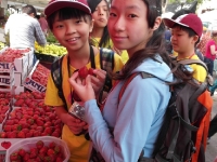 SAM_9439