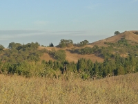 P1190711