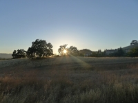 P1190722