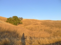P1190723