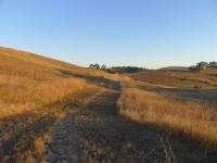 P1190724