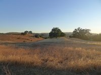 P1190725