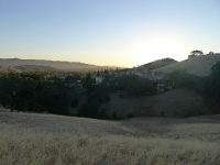 P1190731