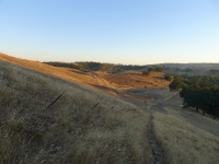 P1190735