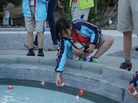 DSC07239