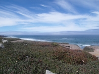 SAM_0843