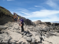 SAM_0847