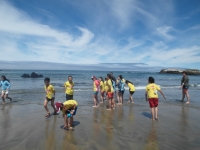 SAM_0850
